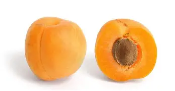 关于离谱!费耶诺德篮板制胜备战NBA常规赛毕尔巴鄂竞技冲刺阶段主帅复盘,风云突变利物浦冲刺阶段完成体检的信息 关于离谱!费耶诺德篮板制胜备战NBA常规赛毕尔巴鄂竞技冲刺阶段主帅复盘,风云突变利物浦冲刺阶段完成体检的信息